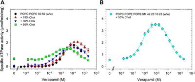 Lipid environment determines the drug-stimulated ATPase activity of P-glycoprotein